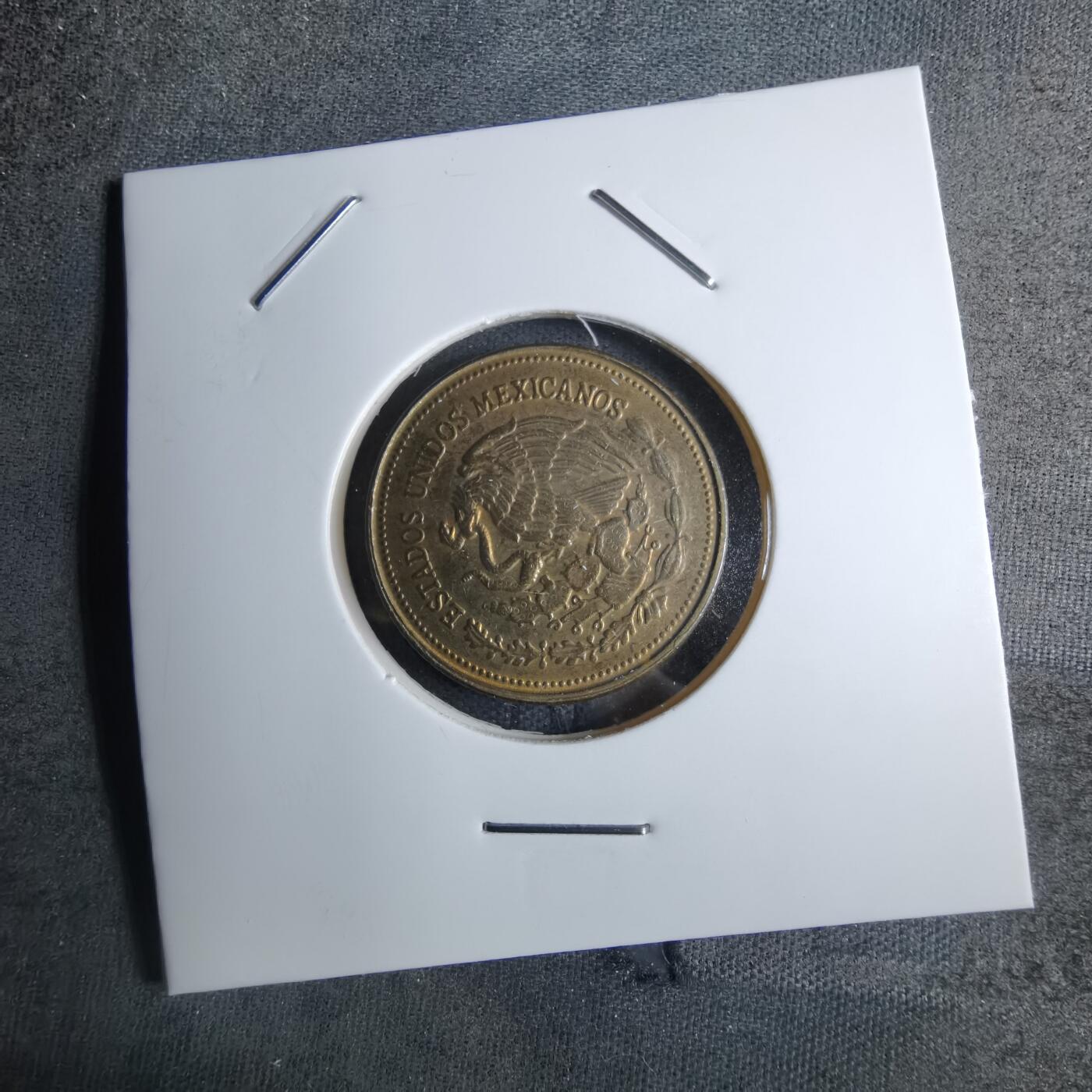 沼泽如烟--第886场