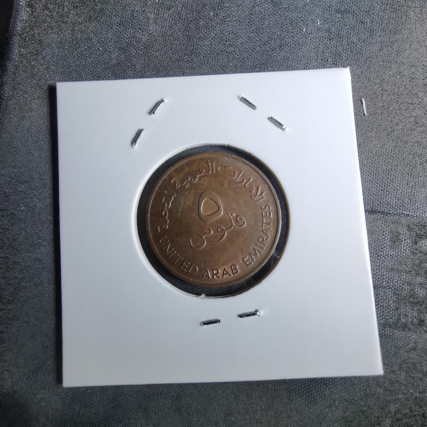 沼泽如烟--第886场 阿联酋