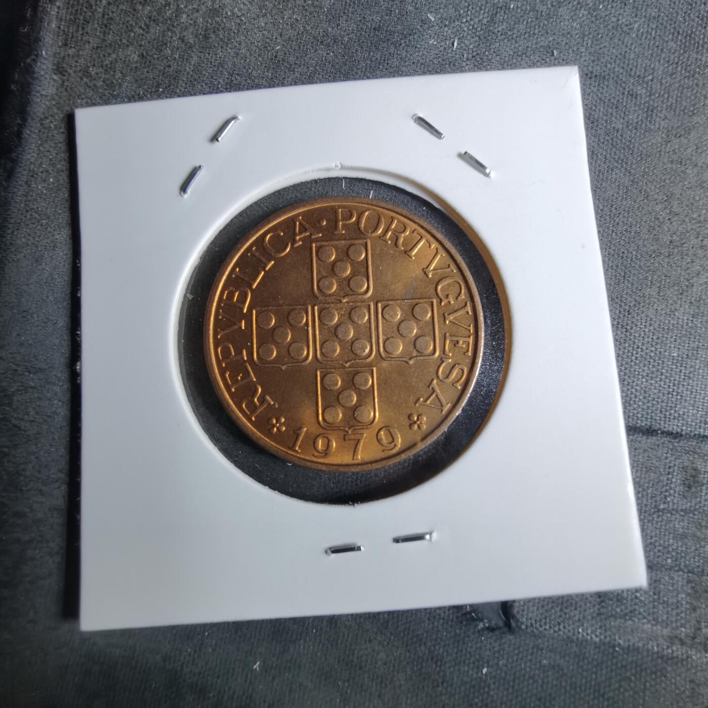 沼泽如烟--第886场