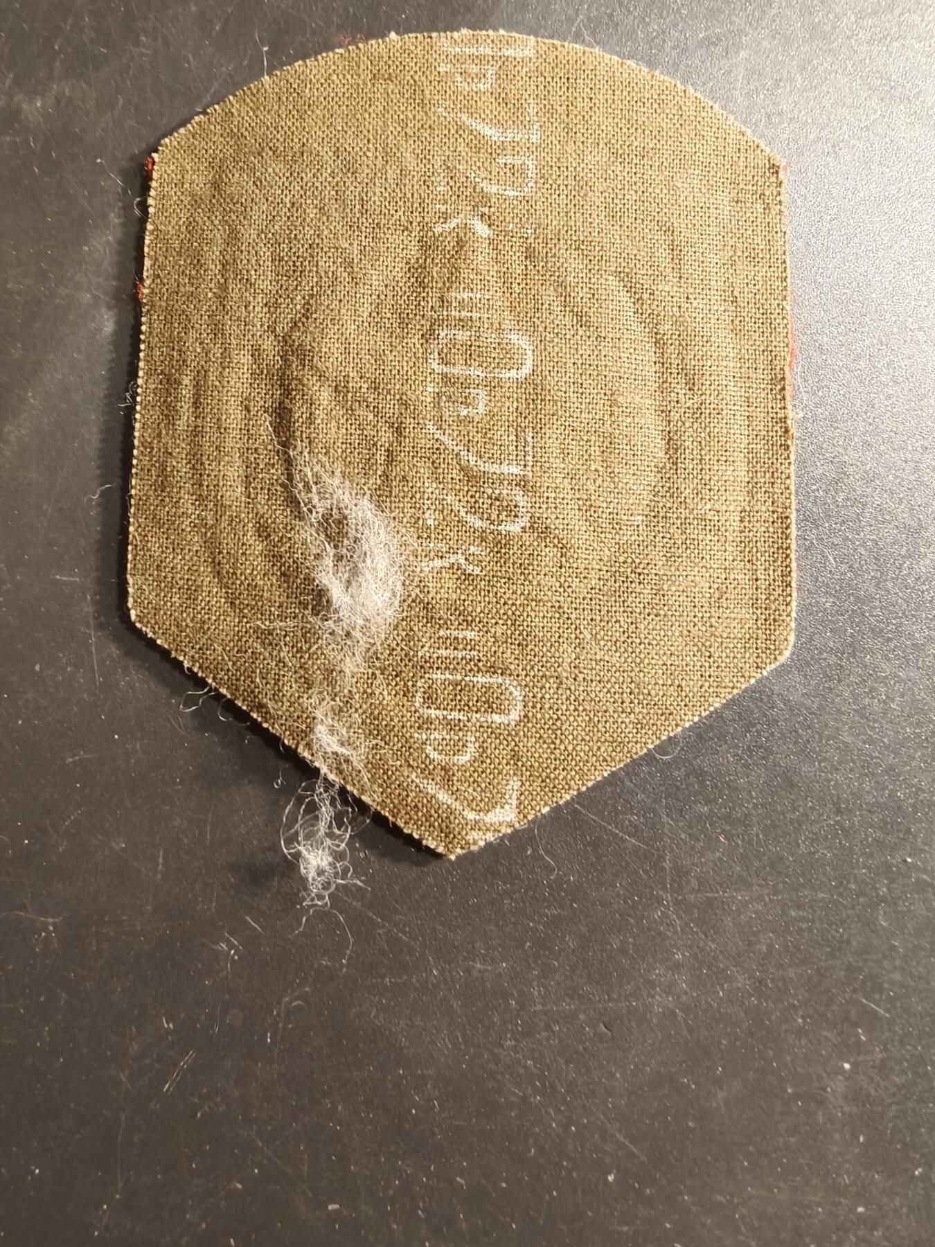 老王徽章第160期 苏联摩托化步兵臂章