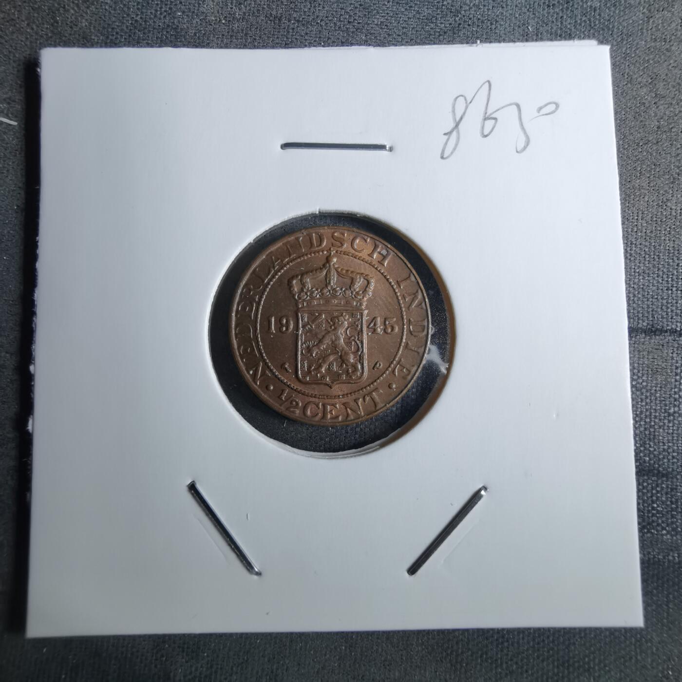 沼泽如烟--第886场