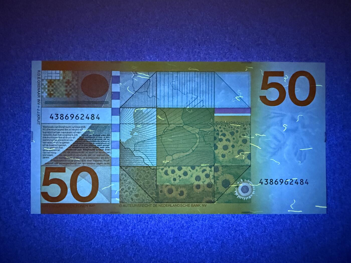 《艾美收藏》第218期-11.2周日外币荟萃 荷兰50盾 UNC 1982年 经典向日葵