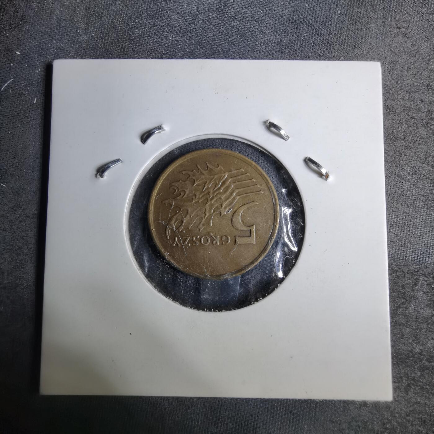 沼泽如烟--第886场