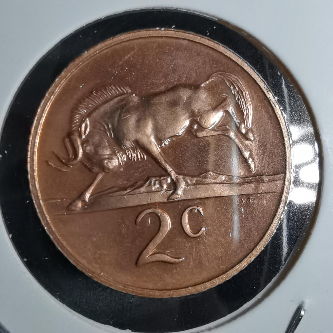 沼泽如烟--第886场 南非1972年一分