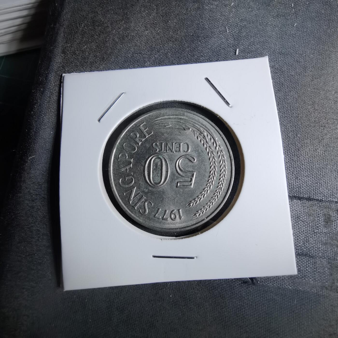 沼泽如烟--第886场