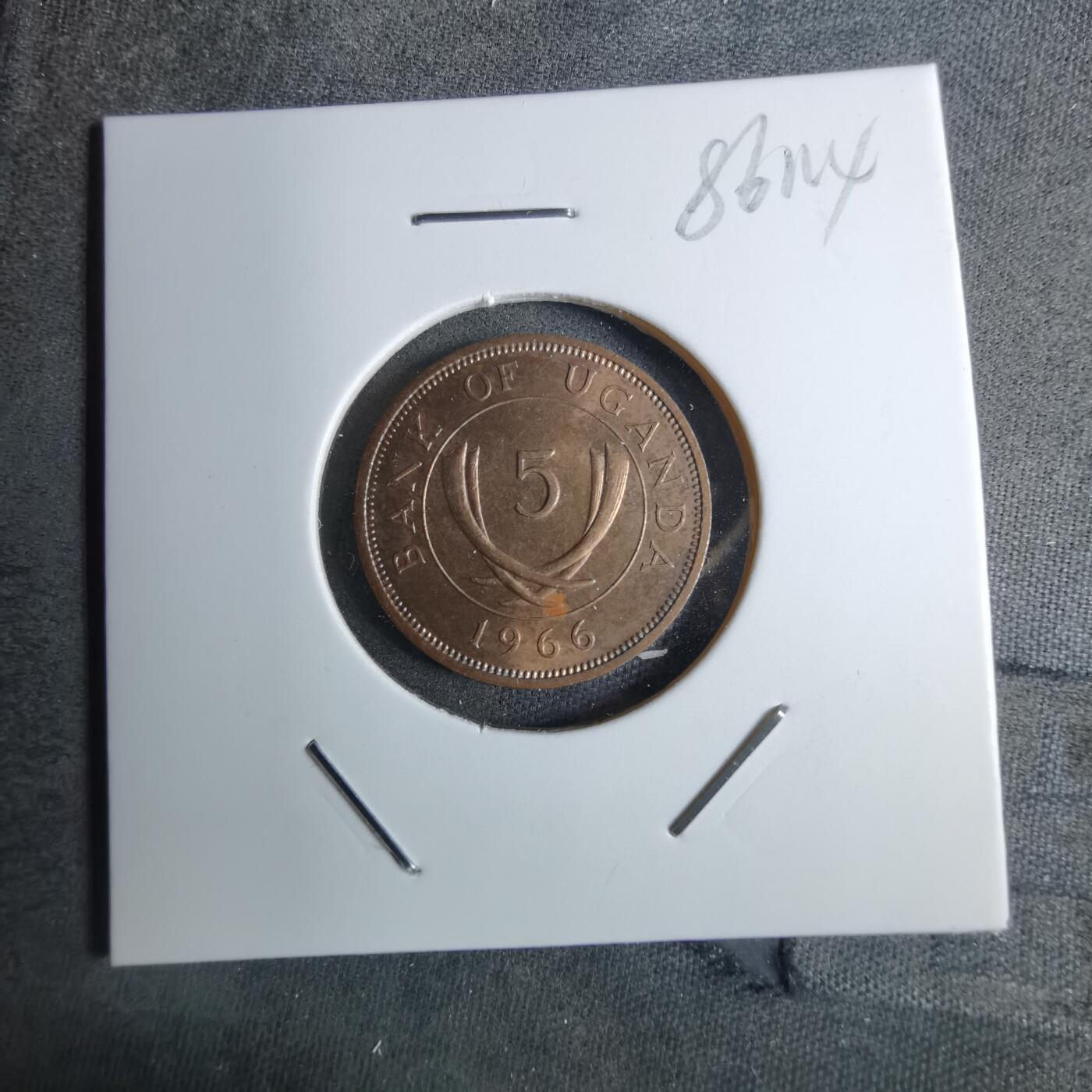 沼泽如烟--第886场