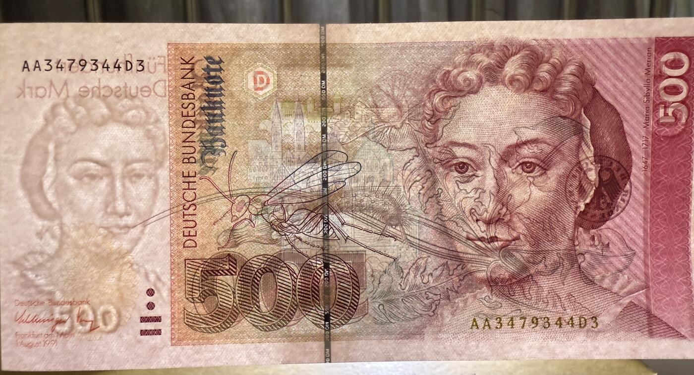 《艾美收藏》第218期-11.2周日外币荟萃 德国500马克 UNC 1991年 德国女画家梅里安 AA冠