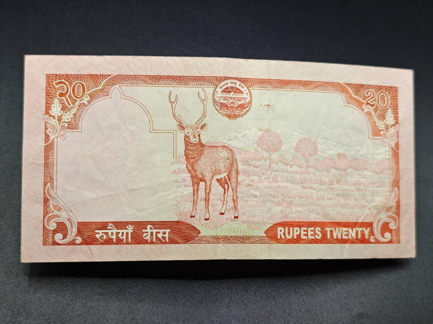 【淘币小摊】实时拍第七百八十三拍   无佣金纸币福利场   满百包邮可预留二周 每周一统一发货  