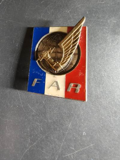 老王徽章第160期 - 法国快速行动部队证章         法国快速行动部队是法国陆军在1980年代建立的部队，旨在快速部署以应对危机。