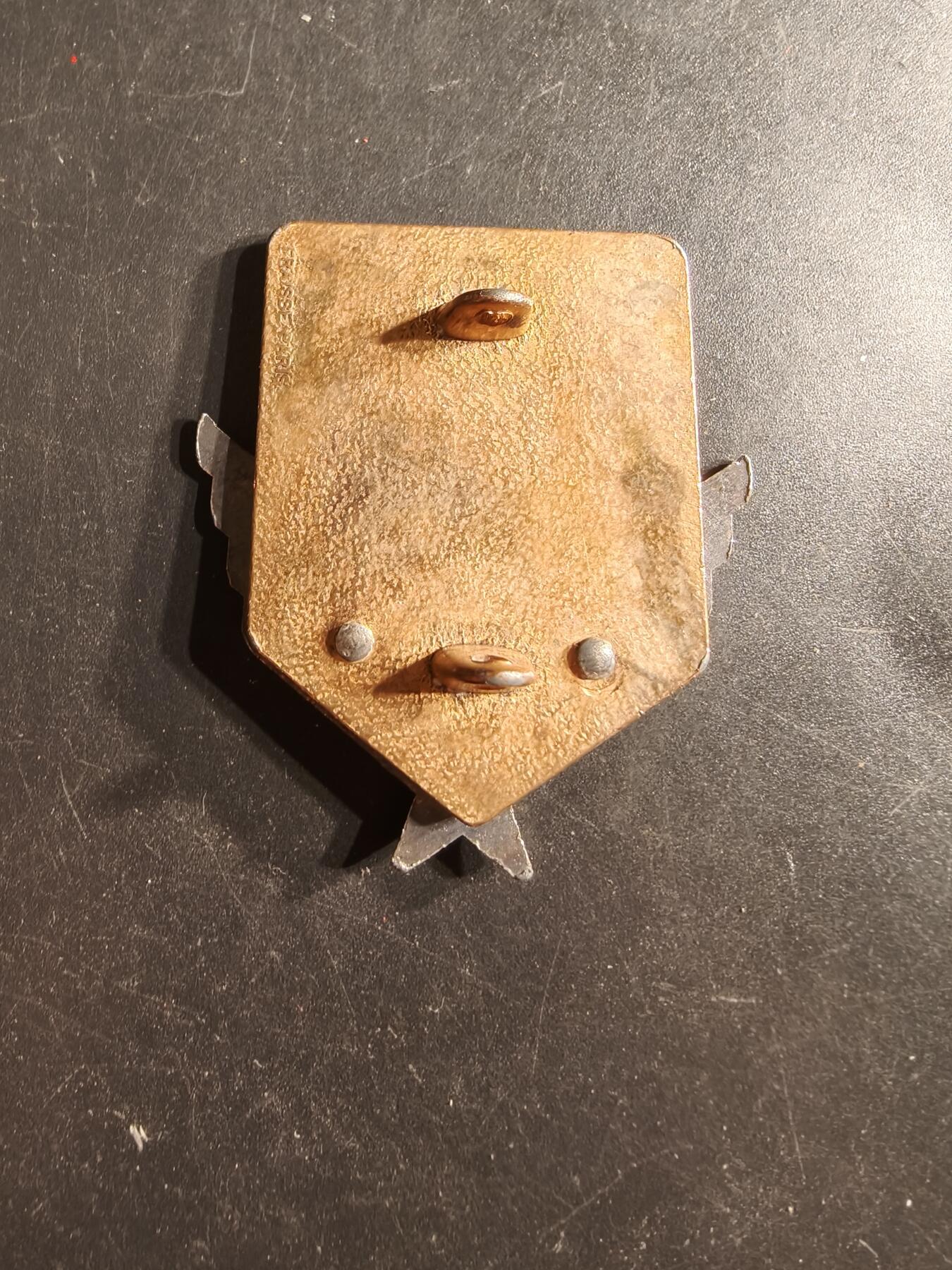 老王徽章第160期 法国海湾战争攻击直升机团证章 