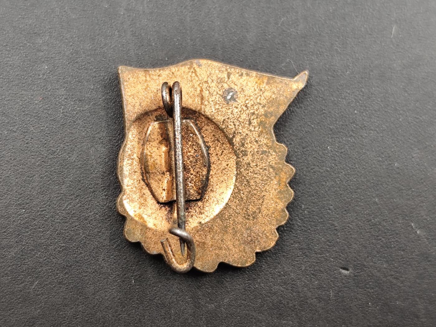 10月底 冲业绩 来一波精品证章场子 民主德国马克思证章