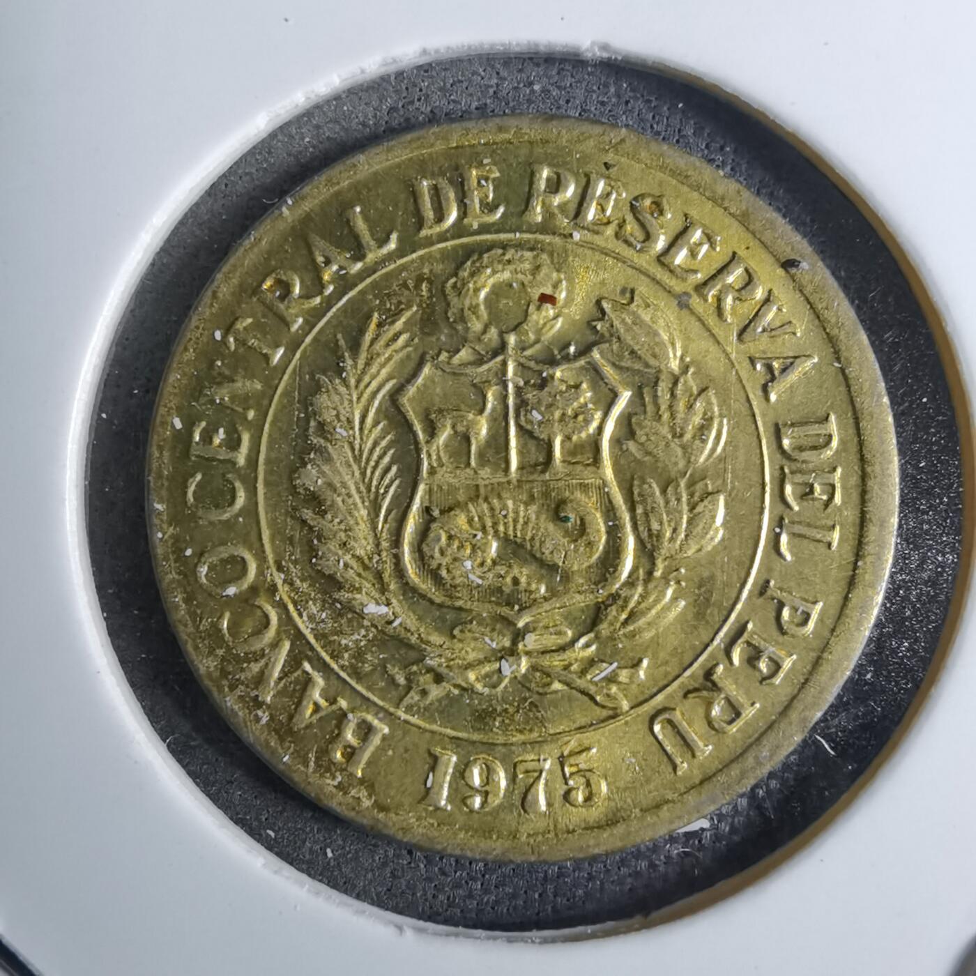 沼泽如烟--第886场