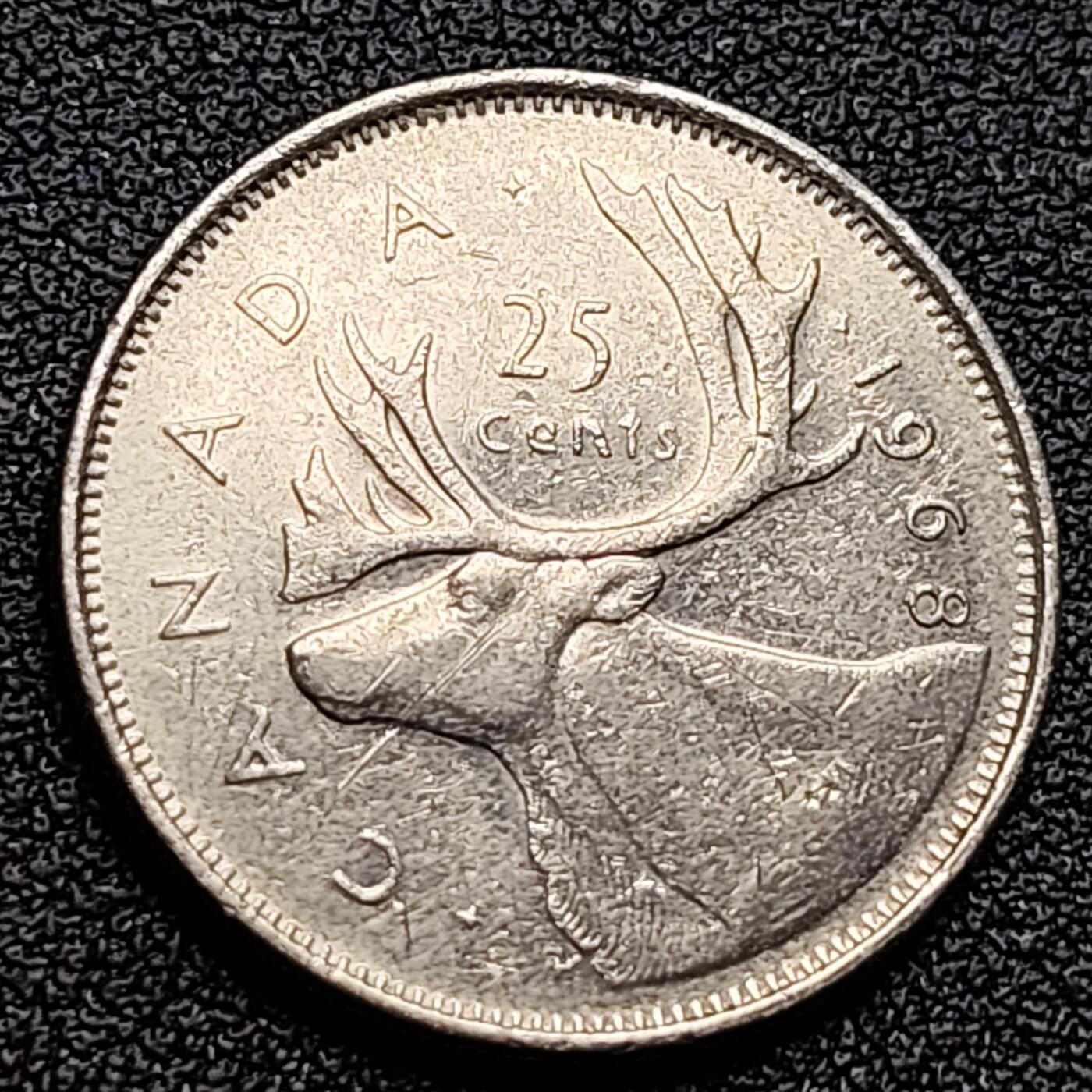 泉币菌-第122场-精品福利场