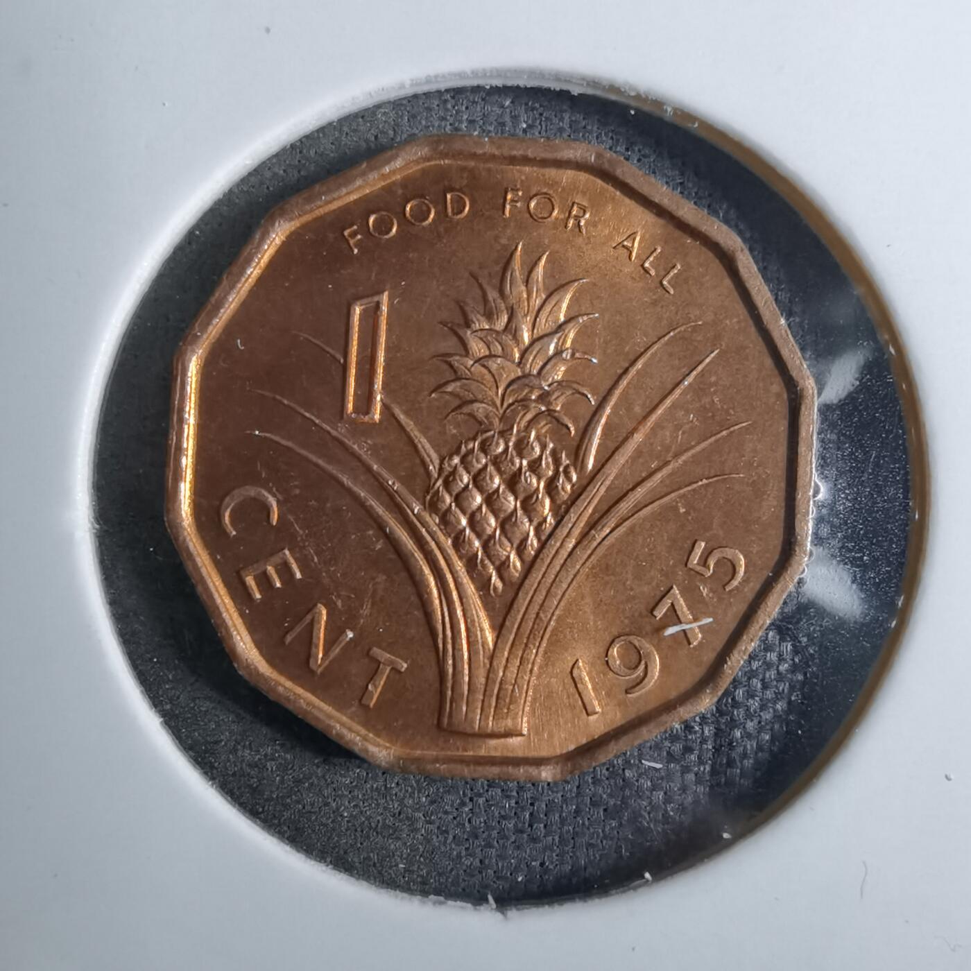 沼泽如烟--第886场