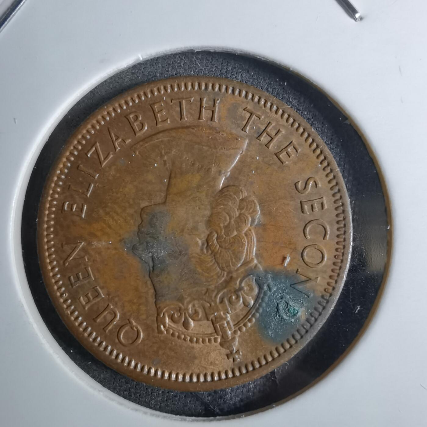 沼泽如烟--第886场