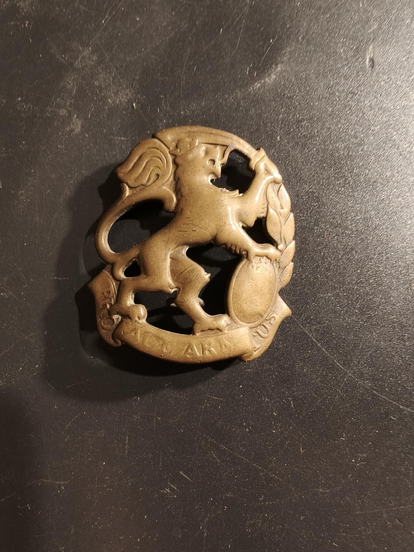 老王徽章第160期 丹麦陆军日德兰旅帽徽