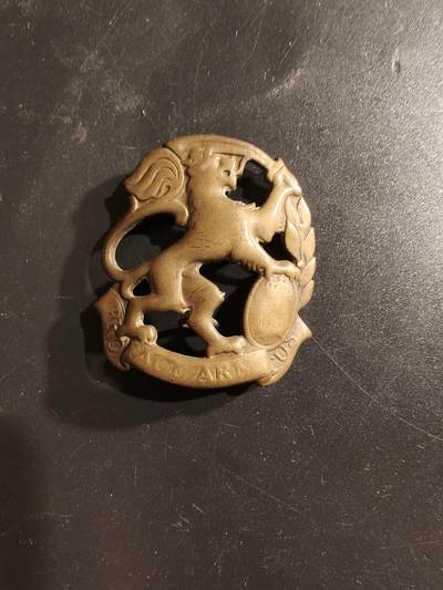 老王徽章第160期 - 丹麦陆军日德兰旅帽徽