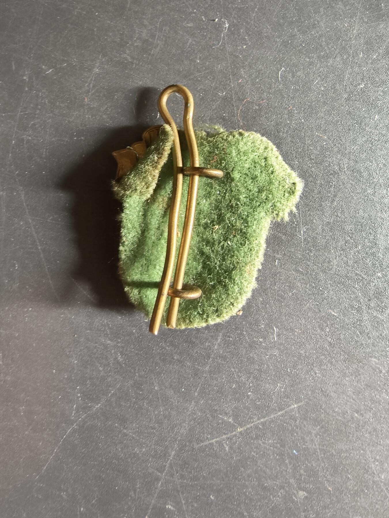 老王徽章第160期  丹麦国民警卫队第2营帽徽 底衬完整