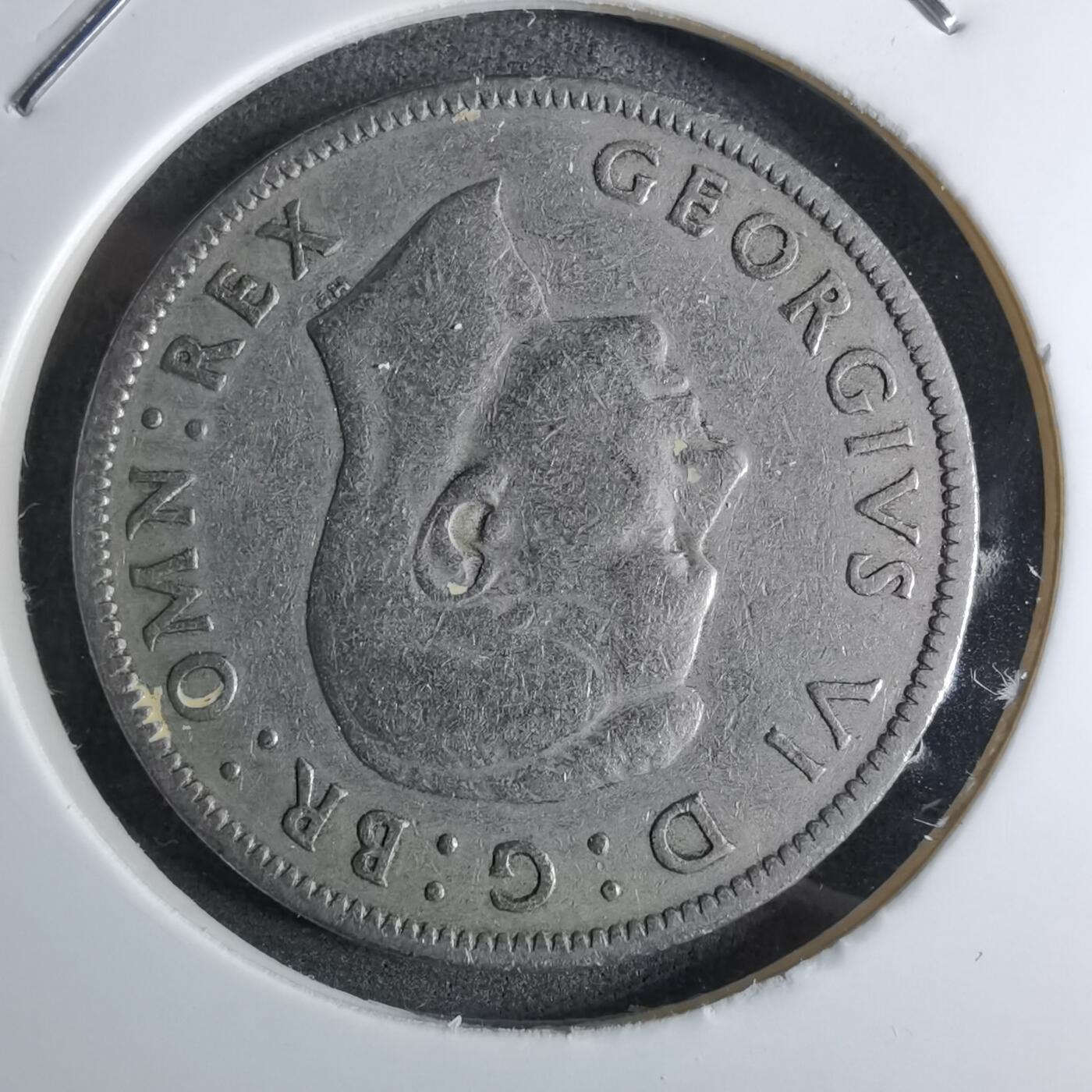 沼泽如烟--第886场