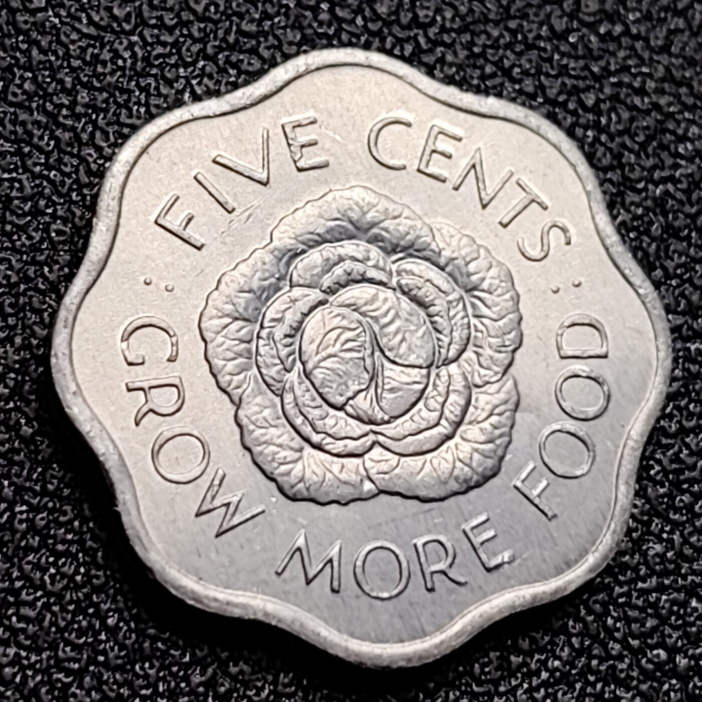 泉币菌-第122场-精品福利场 英属塞舌尔 1972年5分 FAO粮农组织卷心菜铝币18.5mm