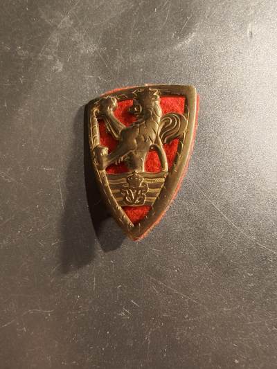 老王徽章第160期 - 丹麦法尔斯特步兵团帽徽 1679年成立，1846年解散 