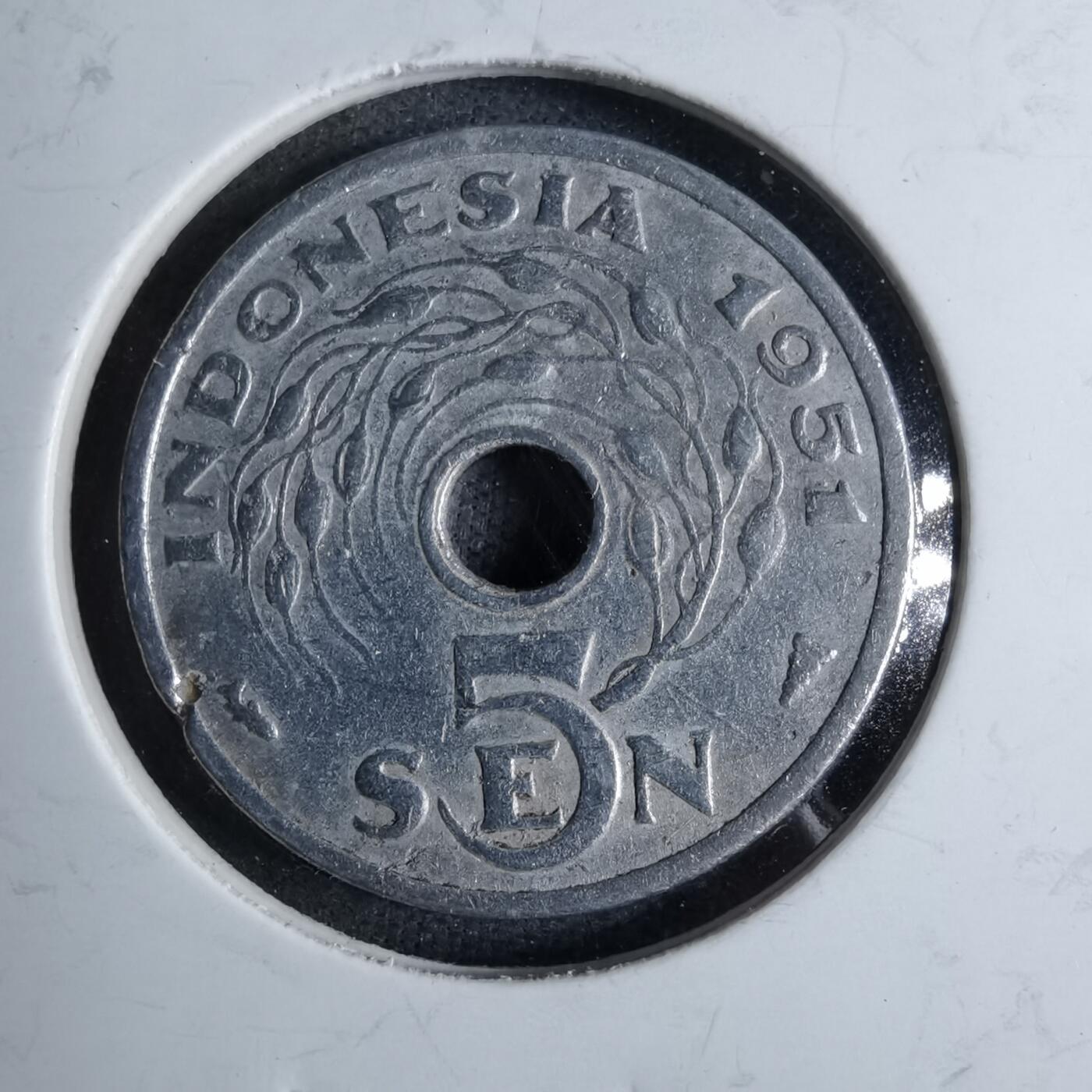 沼泽如烟--第886场