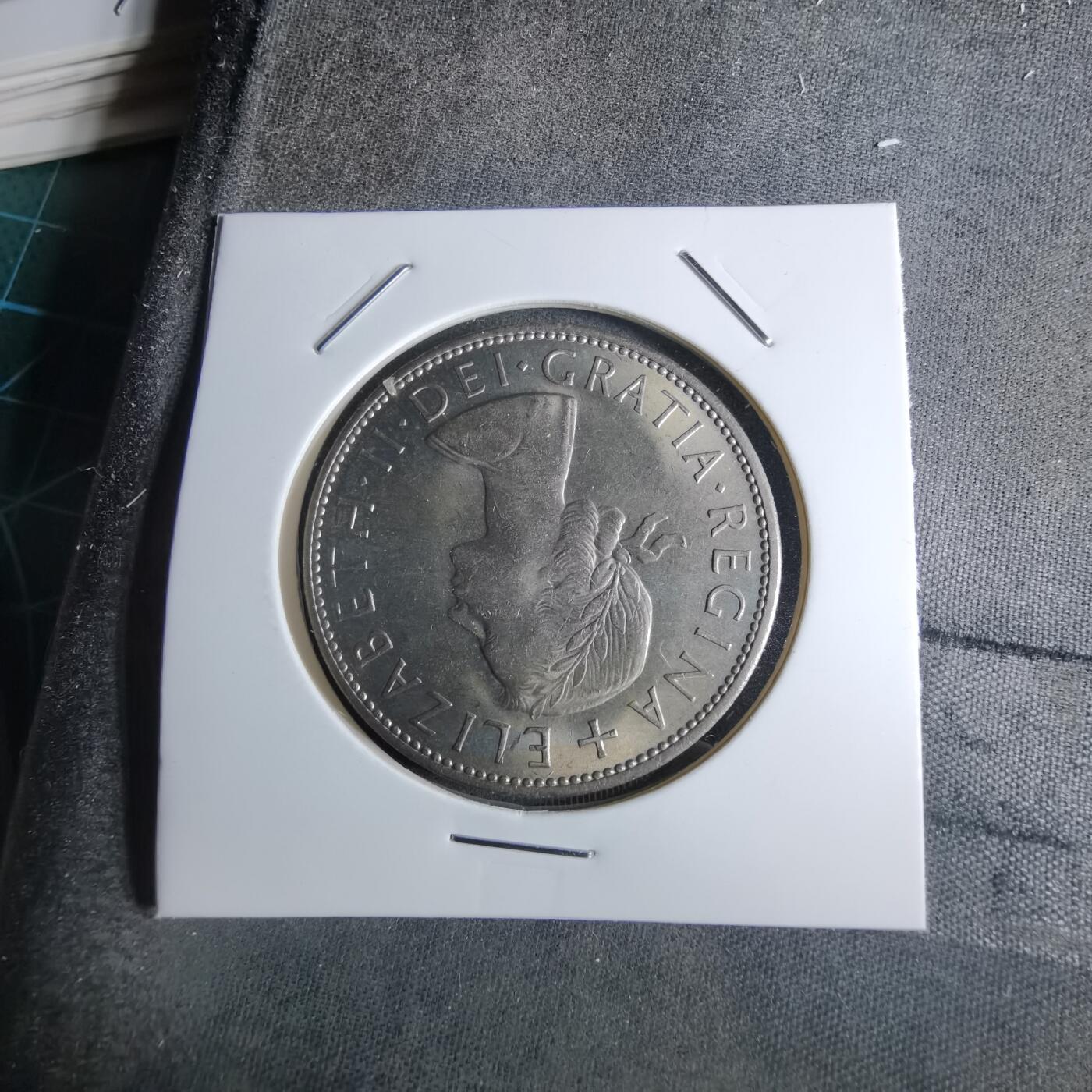 沼泽如烟--第886场