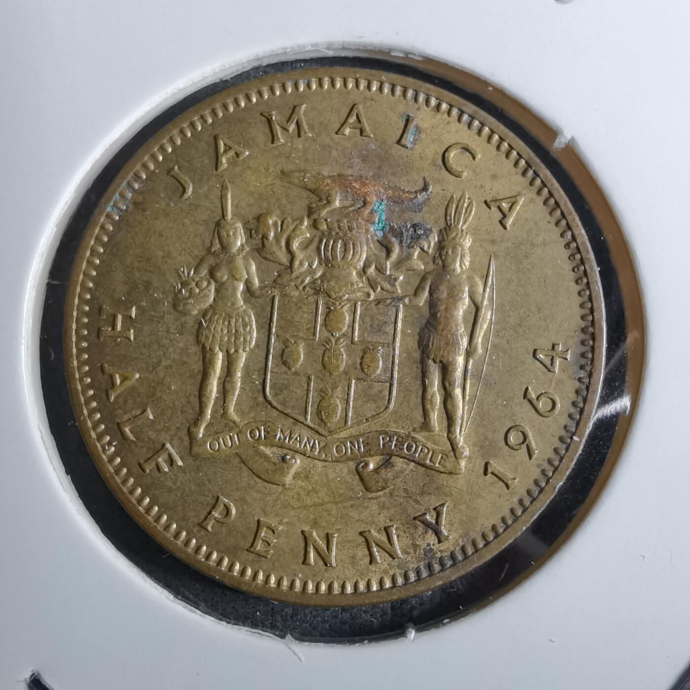 沼泽如烟--第886场