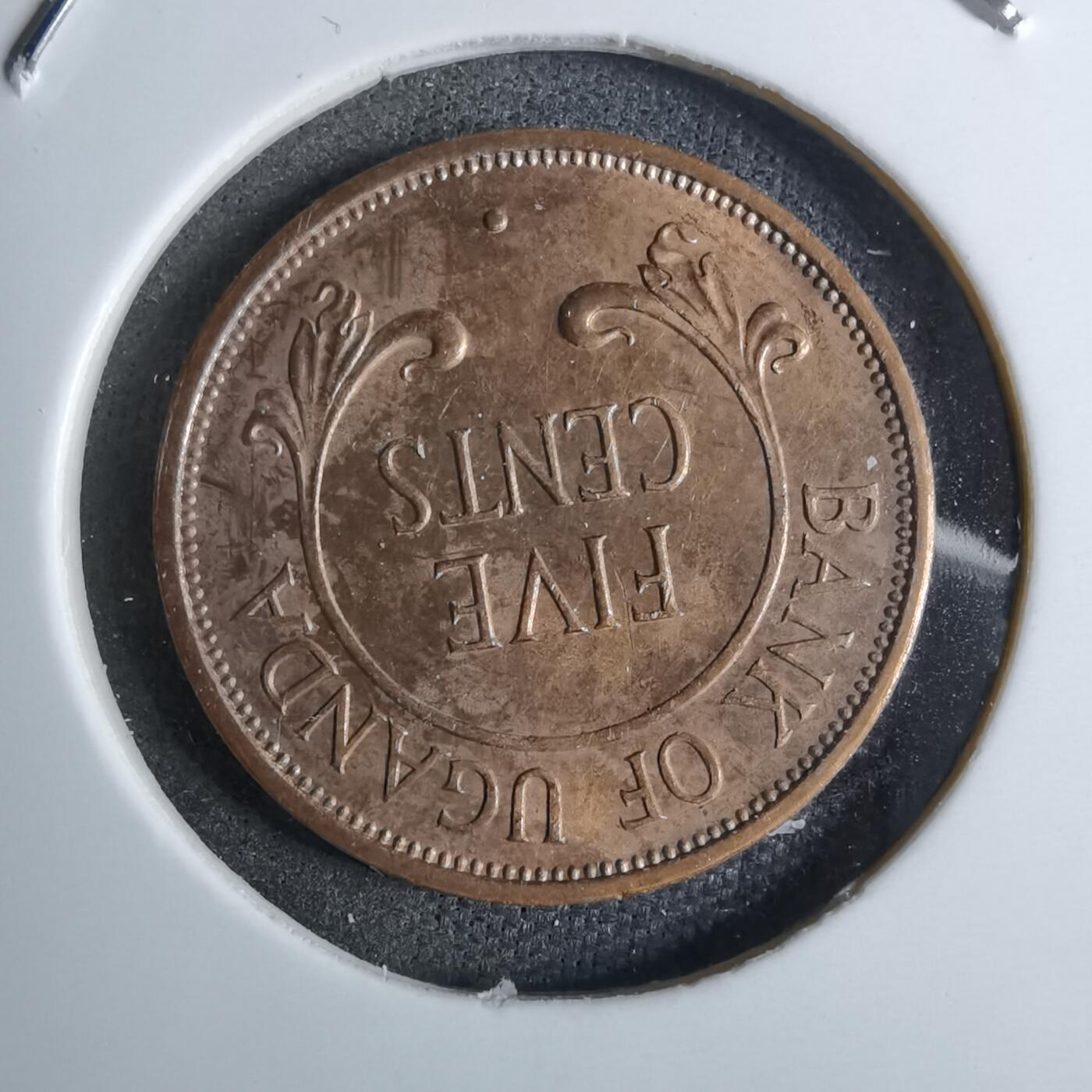 沼泽如烟--第886场