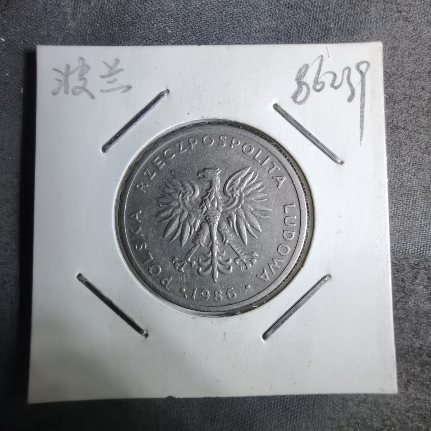 沼泽如烟--第886场