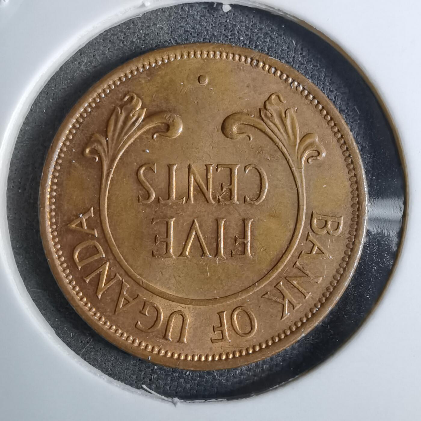 沼泽如烟--第886场