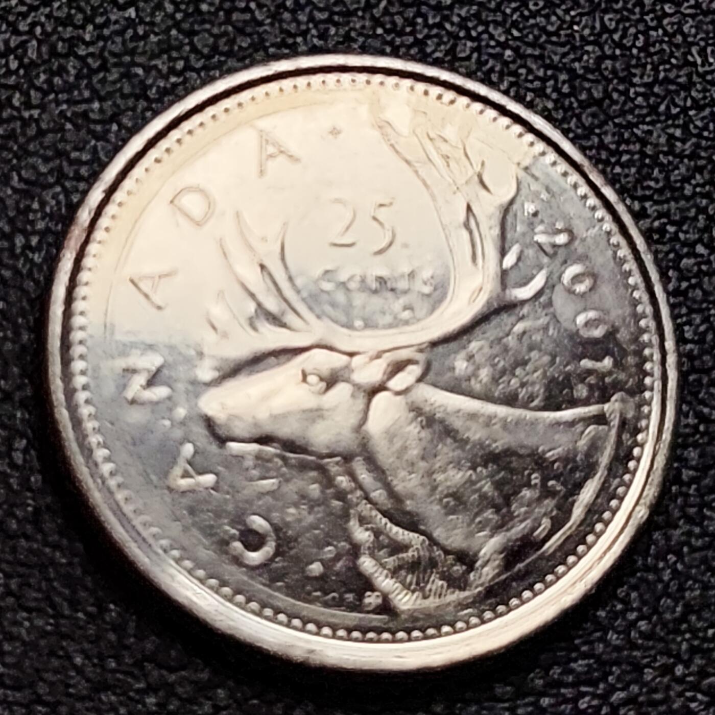 泉币菌-第122场-精品福利场