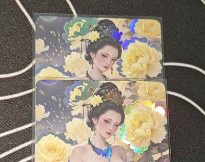 绝对不正常的拍卖场 不寄存! - 绘天阁杨贵妃乃卡（一张清凉一张带点）