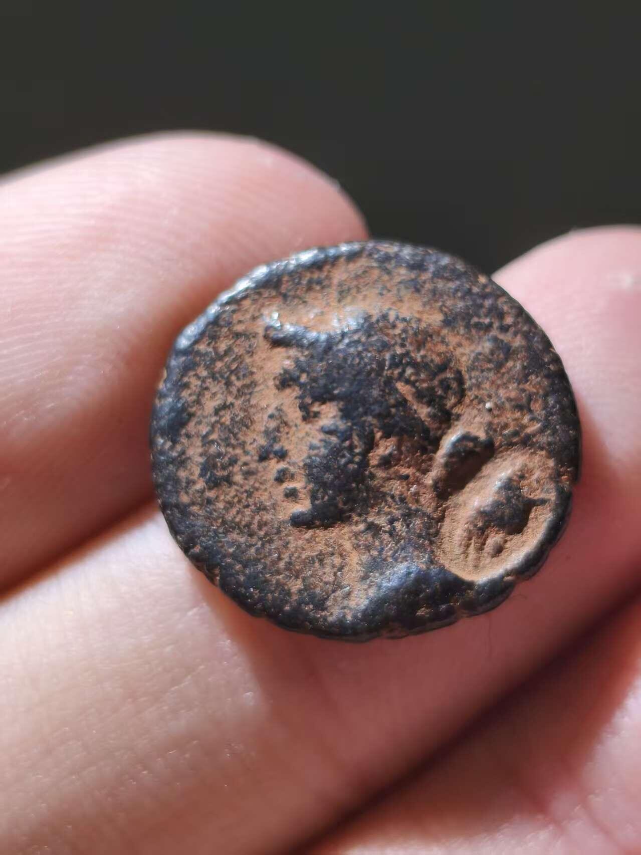 星盘世界钱币十一月五日古典币专场