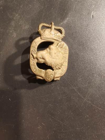 老王徽章第160期 - 丹麦亲王近卫步兵团帽徽 成立于1657年，2001年合并撤销