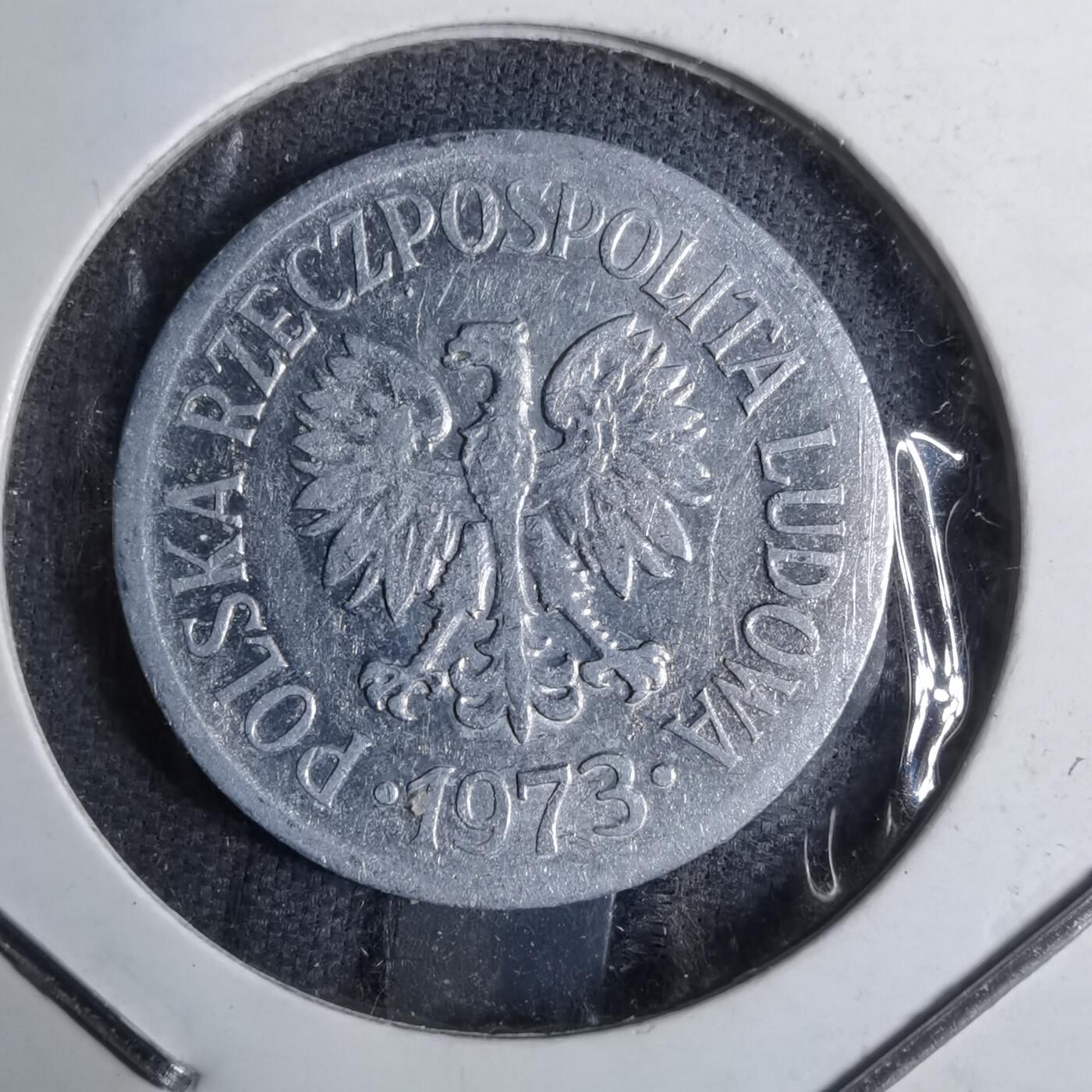 沼泽如烟--第886场