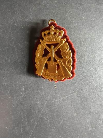 老王徽章第160期 - 丹麦日德兰工兵团帽徽     底衬完整