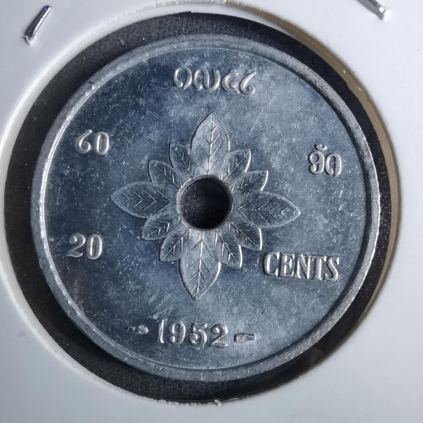 沼泽如烟--第886场