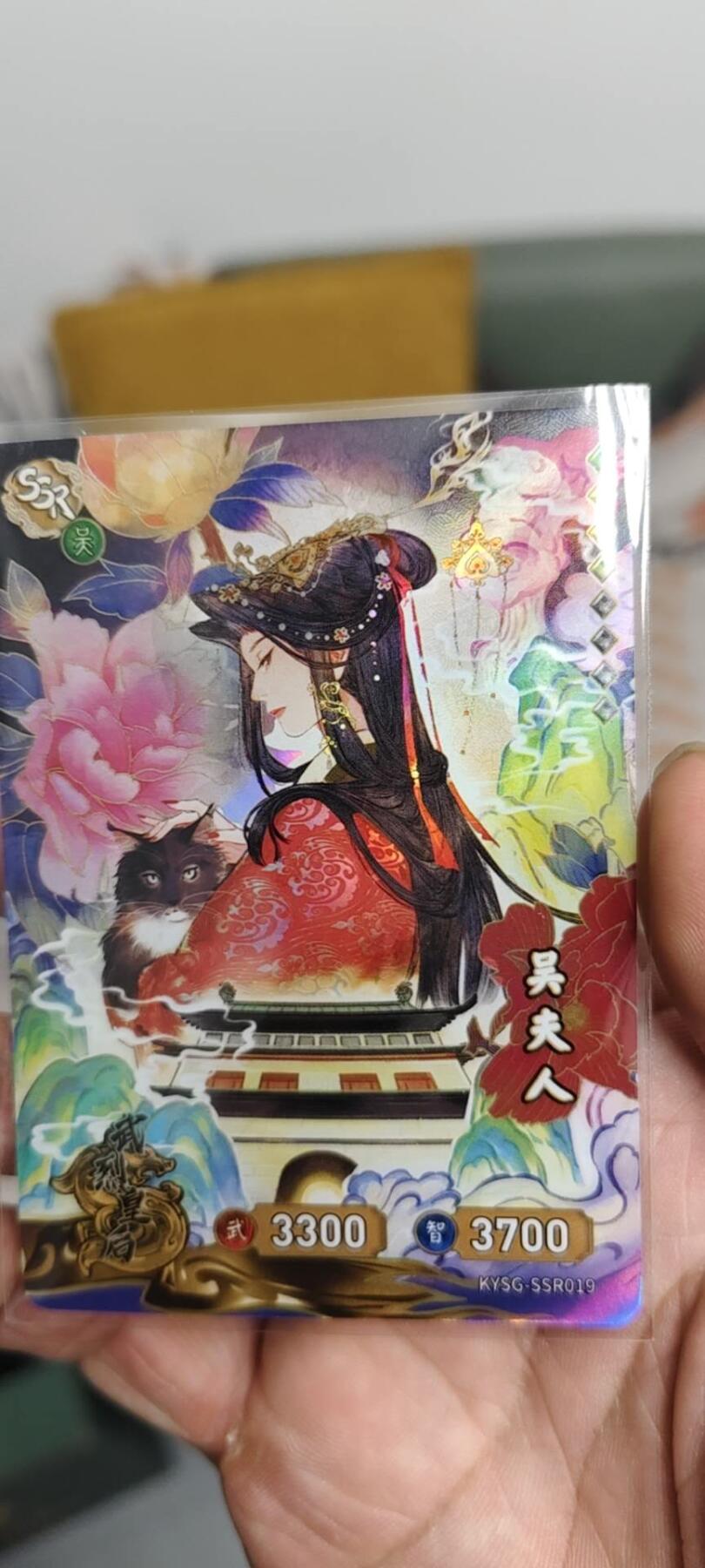 秋原瞳的小店第二十七期（持续收拍，11月秋意正浓，冬欲近，暖心囤卡好时光）