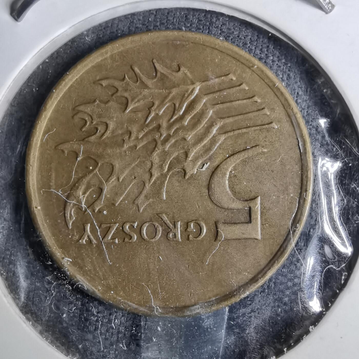 沼泽如烟--第886场