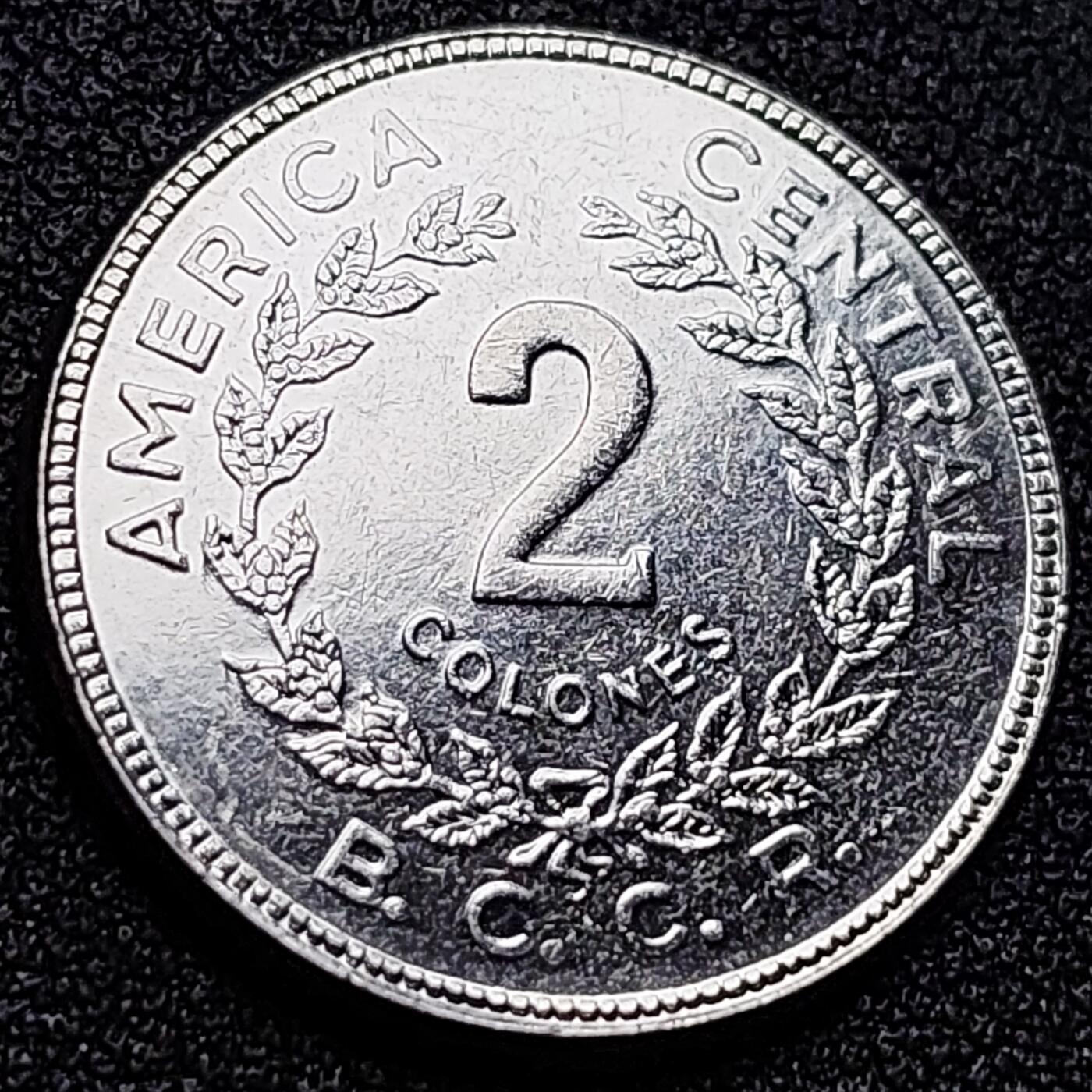 泉币菌-第122场-精品福利场