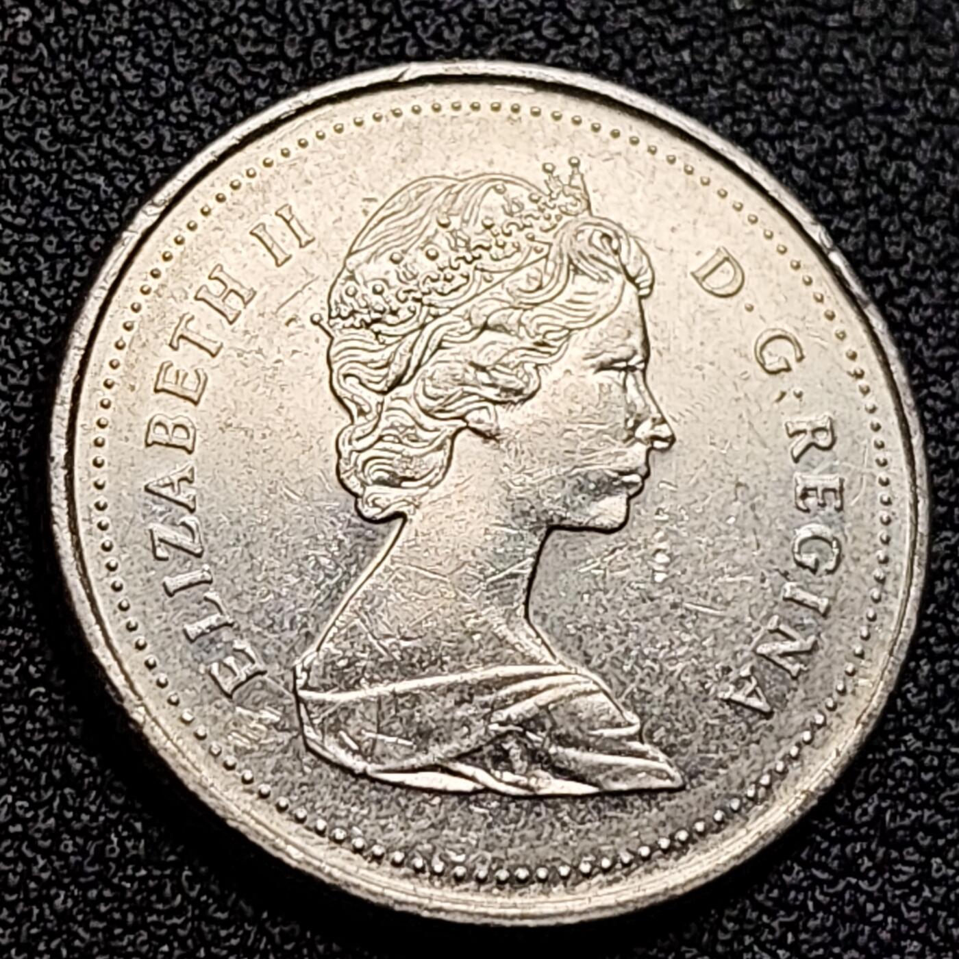 泉币菌-第122场-精品福利场