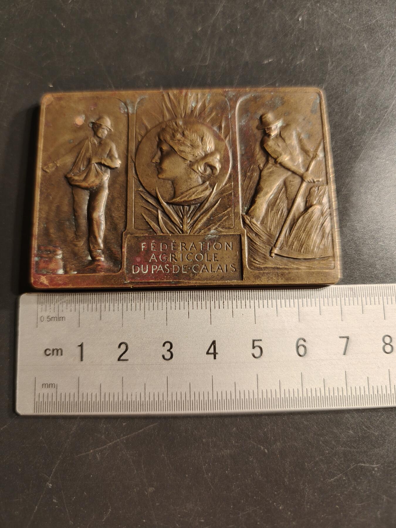 老王徽章第160期  法国下加莱海峡省农业协会方形大铜章      尺寸66×48mm.    重量110g