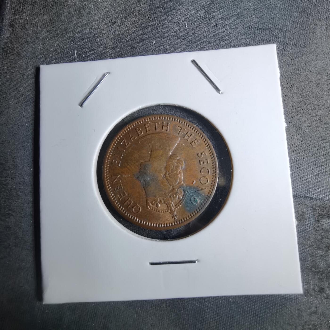 沼泽如烟--第886场