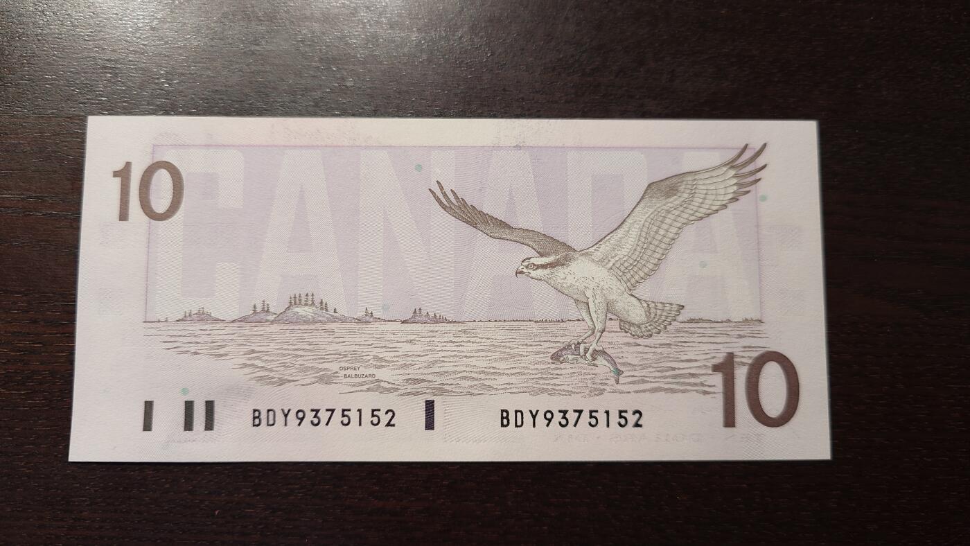 世界钱币～微拍第212期暨2025年第52期  部分库存清仓选号 1989年加拿大10元鸟版 全新绝品无4尾号152