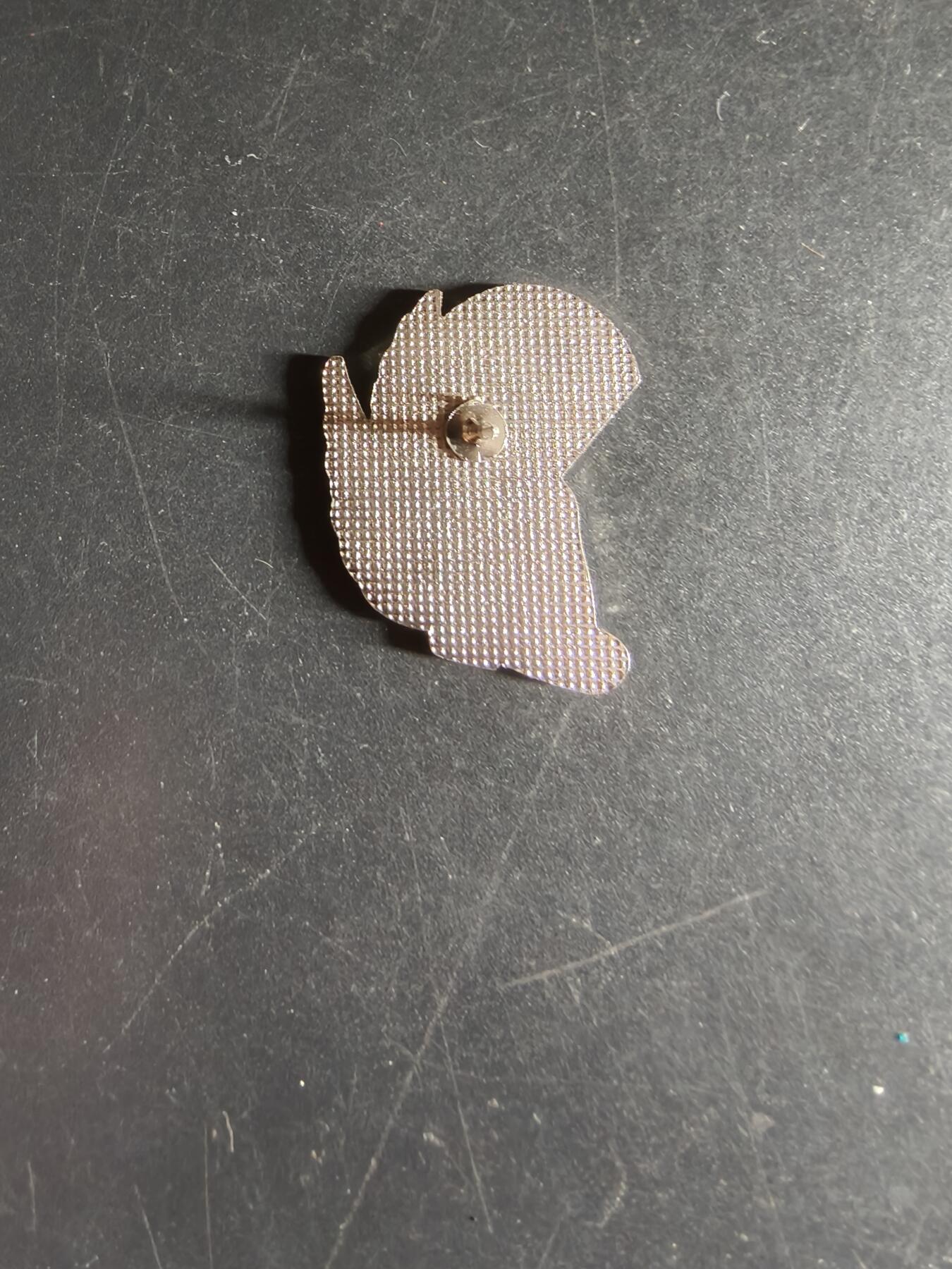 老王徽章第160期 美国海军陆战队空降兵徽章