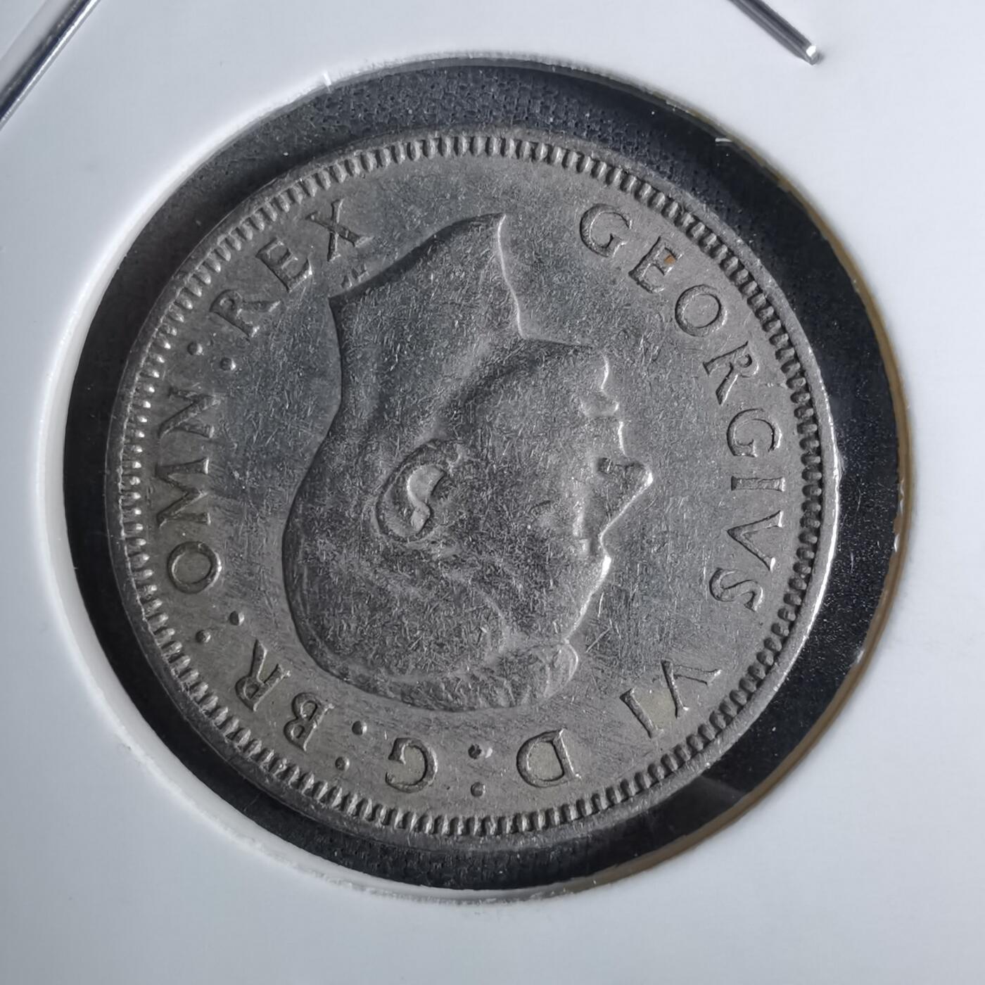 沼泽如烟--第886场