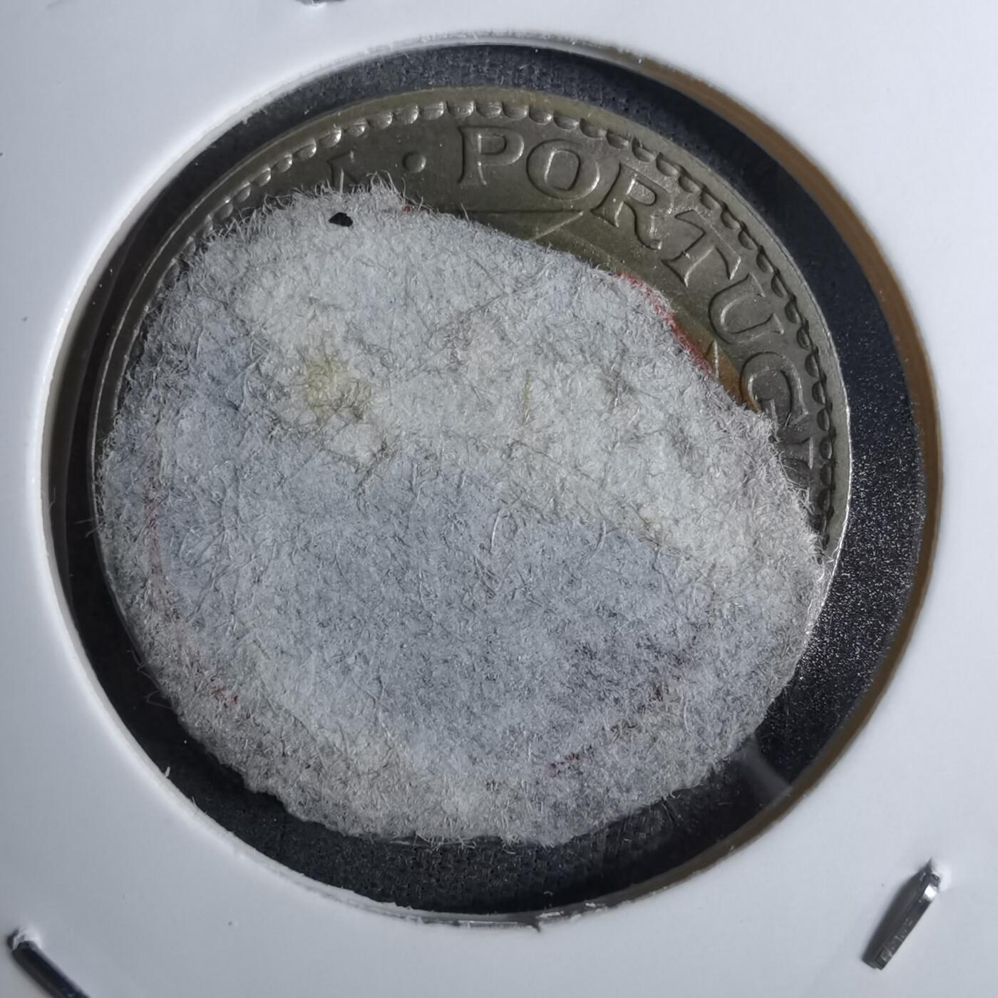 沼泽如烟--第886场 澳门五毫