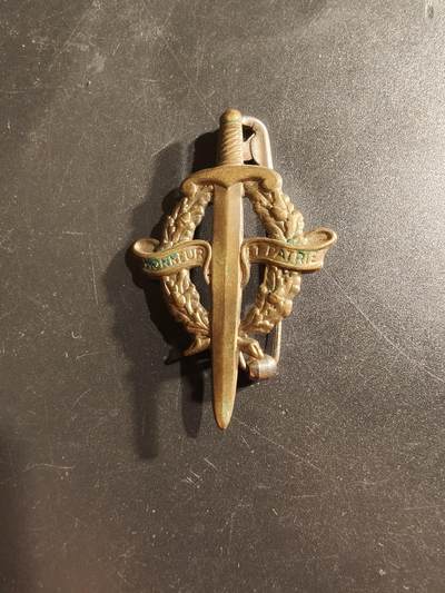 老王徽章第160期 - 法国金级军事技能证章