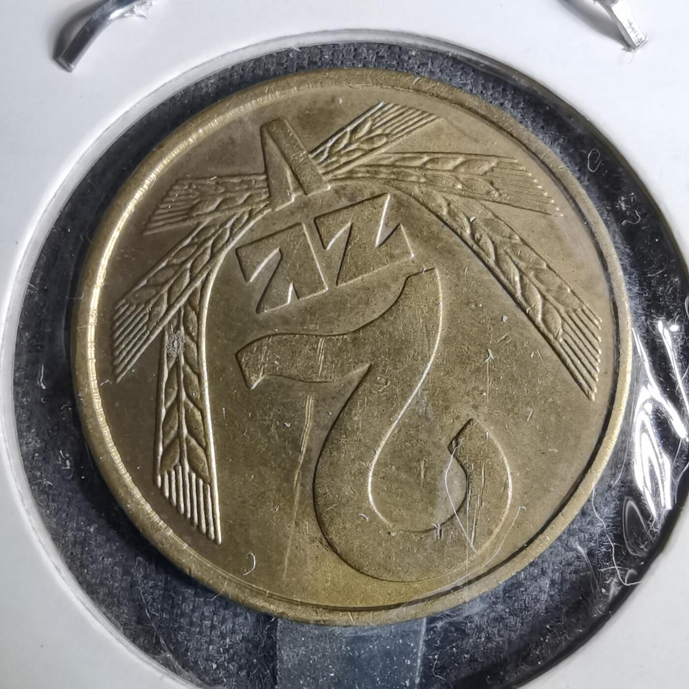 沼泽如烟--第886场